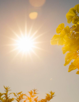 Le Solstice d'été : Lorsque la Terre s’offre à la Lumière